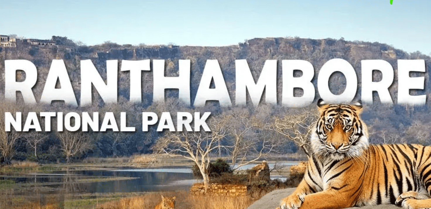 Ranthambore-National-Park-1