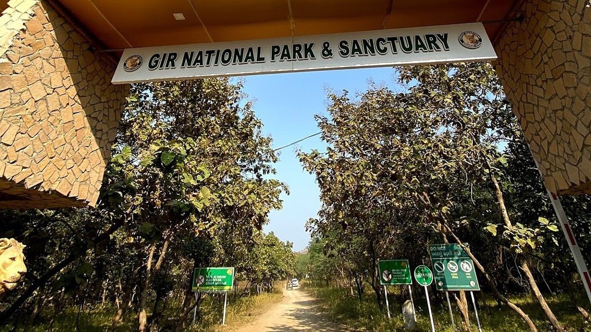 entrance-to-gir-national-park_1692460315349-1200x675-20230819212636